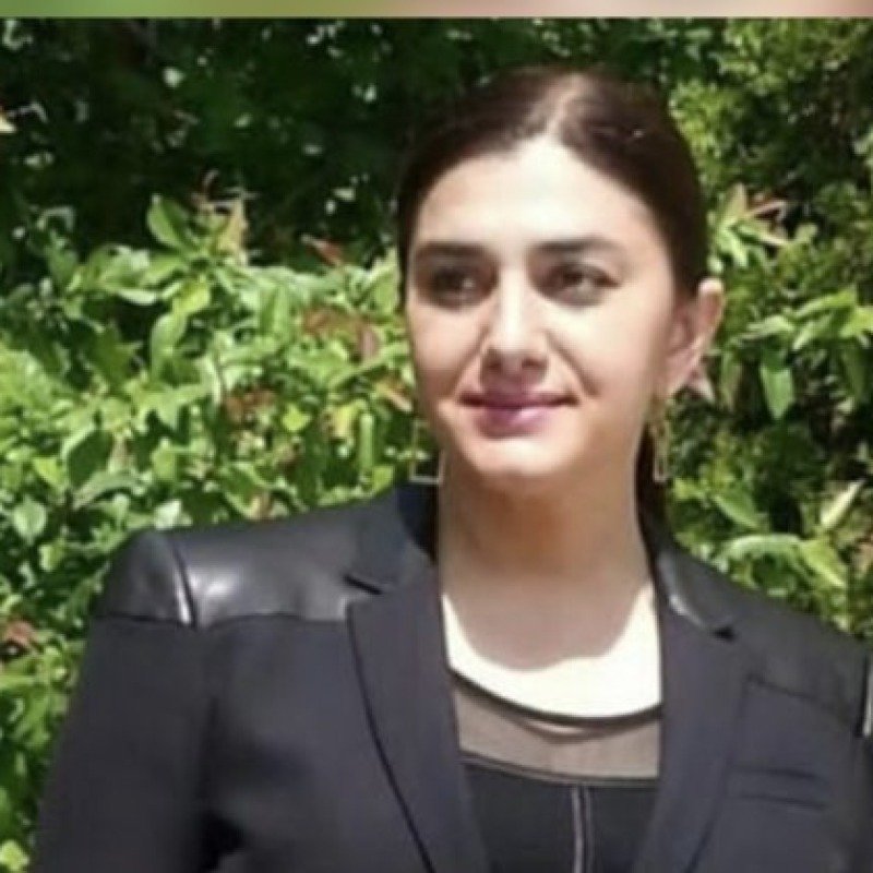 Naxçıvandan Günay Ağamalı, Kamal Abdulla və Mir Şahinə CAVAB...