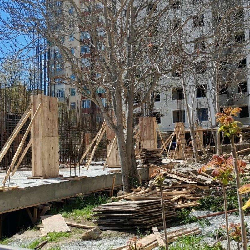 “VİP Construction” yarımstansiyanın dibində ağacları kəsib, obyekt tikir - ŞİKATƏT