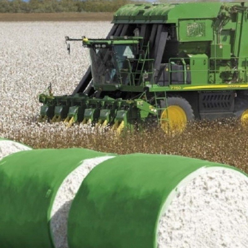 Ölkənin pambıq yığımında rekord