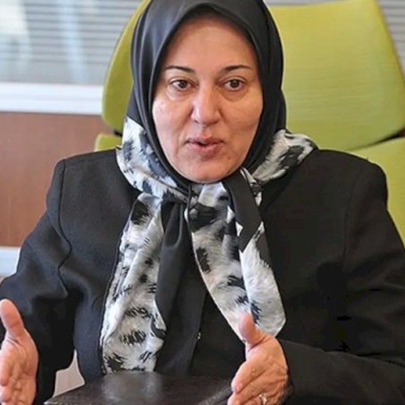 “Zəngəzur dəhlizi İranı nəql marşrutlarından kənarlaşdıracaq”