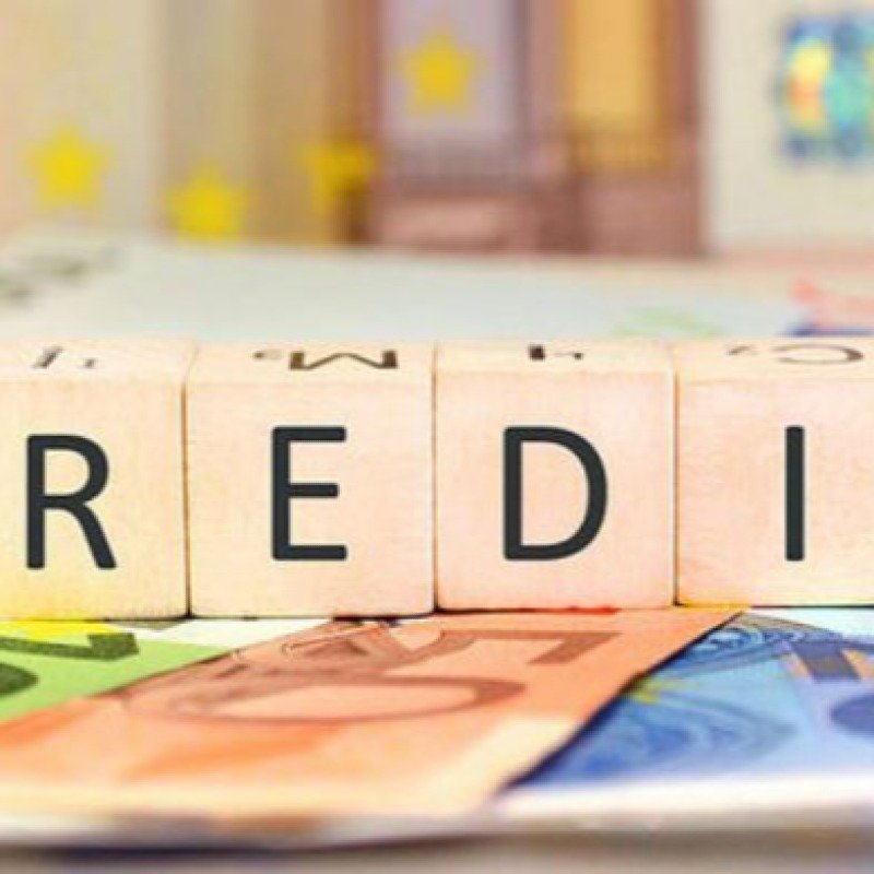 “Kreditlər aşağı faizlə, ilkin ödənişsiz olmaqla kənd sakinlərinə təqdim edilməlidir”