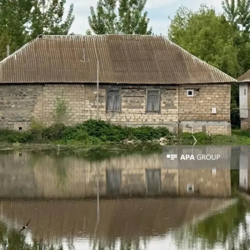 Kür daşıb: Zərdabın kəndlərində evləri su basıb