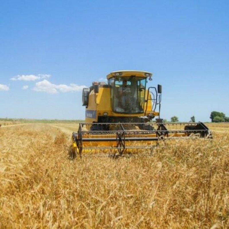 Hesablama Palatası: Biçin aparılmayan 118 min hektar sahəyə milyonlarla manat subsidiya ödənilib