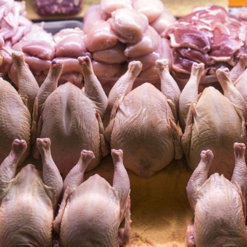Azərbaycanda broyler toyuqlarının istehlakı məhdudlaşdırılacaq?