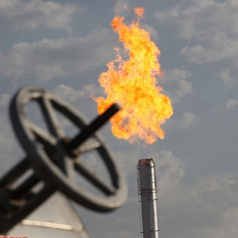 Avropada qazın qiyməti aşağı düşdü