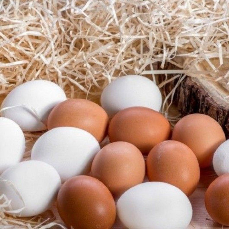 Azərbaycan yumurta ixracını bərpa etdi