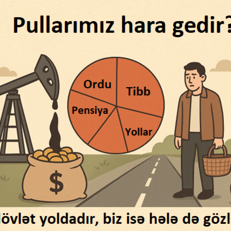 Pullarımız hara gedir?